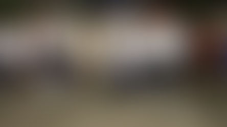 SE LLEVÓ A CABO LA CARRERA DE CALAVERAS ALSOMEX