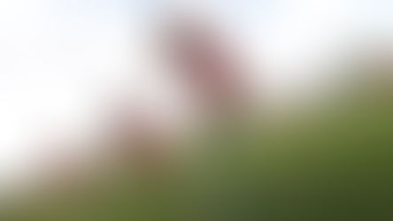 CON MUCHAS CARAS NUEVAS CENTELLAS LISTAS PARA ENCARAR EL TORNEO APERTURA 2022.  