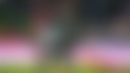 LA FIERA SE IMPONE A CHIVAS EN EL ÚLTIMO MINUTO