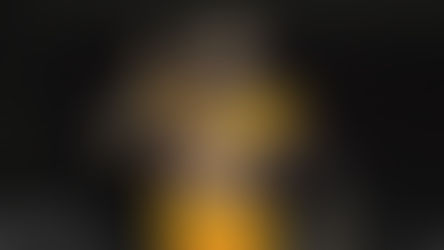 LES CLAVÓ EL DIENTE EN LA FRONTERA