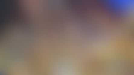 TIGRES CAMPEONES DE LA LIGA MX