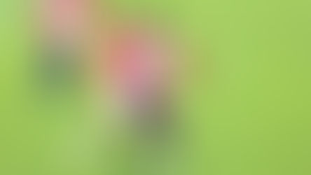 DOS ERRORES SOBRE EL FINAL LE DAN LA VENTAJA A CHIVAS EN LAS SEMIFINALES SUB 23.