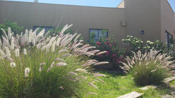 10606191_326650270792455_1909137731608201062_n