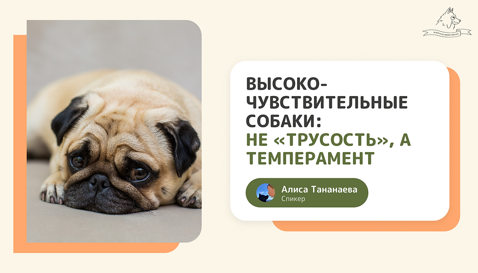 Высокочувствительные собаки: не «трусость», а темперамент. Научный взгляд на жизнь с «орхидеями»