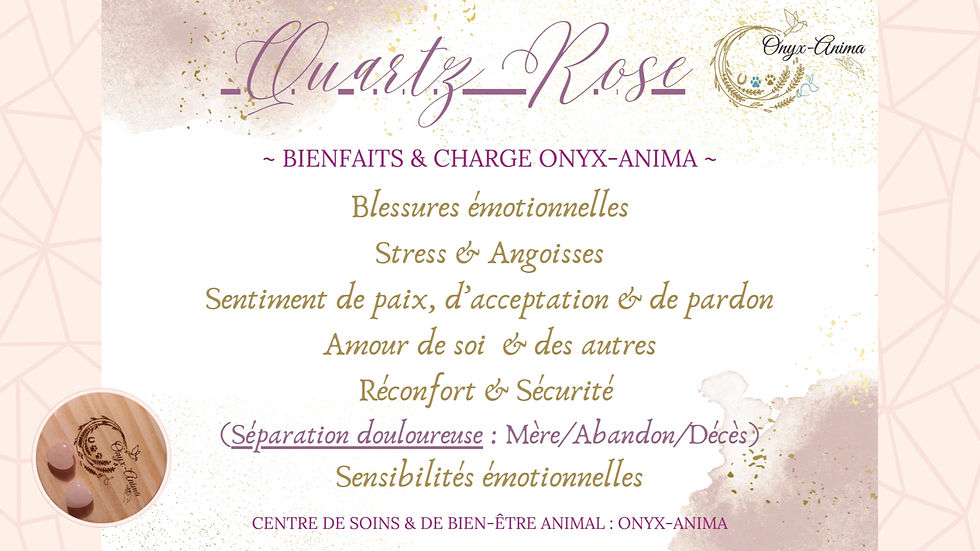 Miniature : L'Eau d'Onyx :  Equilibre émotionnel & mental (2 pierres incluses au choix)