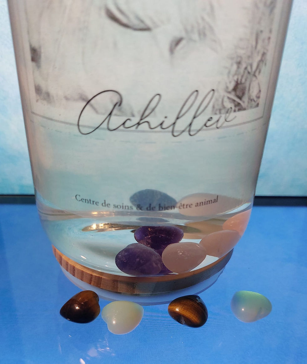 Miniature : L'Eau d'Onyx :  Equilibre émotionnel & mental (2 pierres incluses au choix)