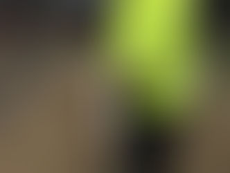 Yesterday at The Lancashire Wildlife Trust