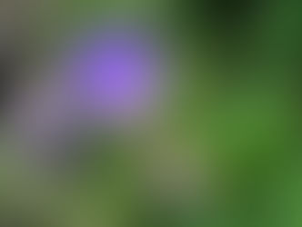 Today at The Lancashire Wildlife Trust