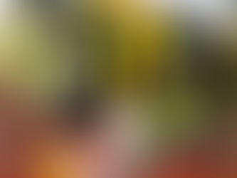 Beginner's Guide to Growing Your Own Food in Preston - Assortment of Vegetables