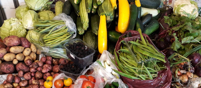 Beginner's Guide to Growing Your Own Food in Preston - Assortment of Vegetables