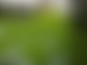 Today at Preston Parks