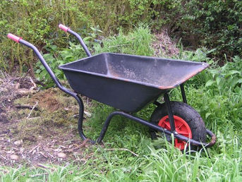 Volunteering at Let's Grow Preston