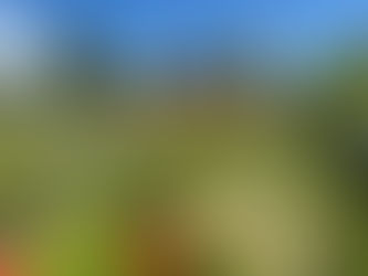 Ashton Walled Garden - Let's Grow Preston Location