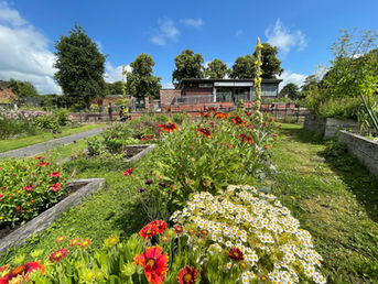 Ashton Walled Garden - Let's Grow Preston Location