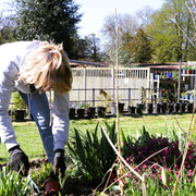 Volunteer gardening at Let's Grow Preston location Ashton Walled Garden