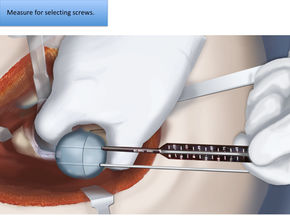 28 MED ILLUSTRATIONS.jpg