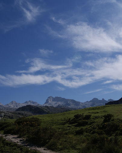 DSC05984.JPG