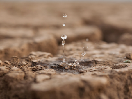 Climate Change, Public Insecurity and Law: Conflicts Over Water Resources in the Brazilian Context