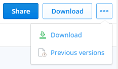 Dropbox Document Versions