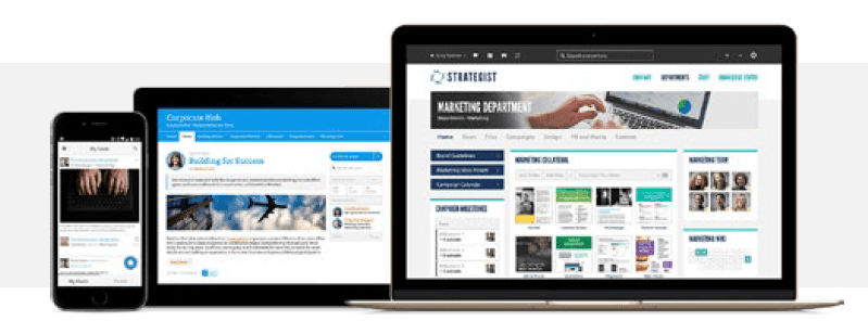 Responsive Portal Layout