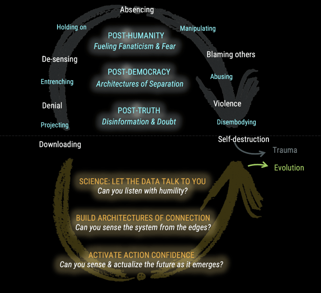 יכולות ליבה