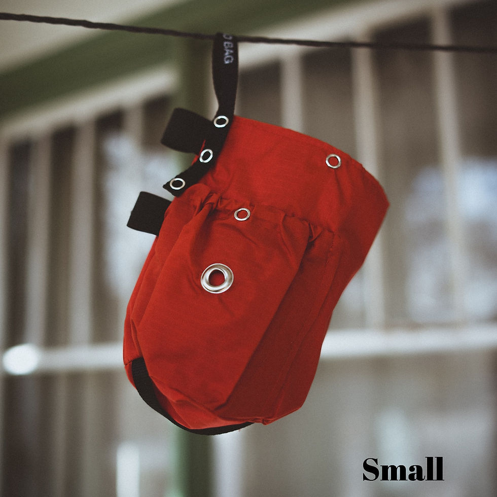 Thumbnail: Red Go Two Bag for Dog Waste Disposal