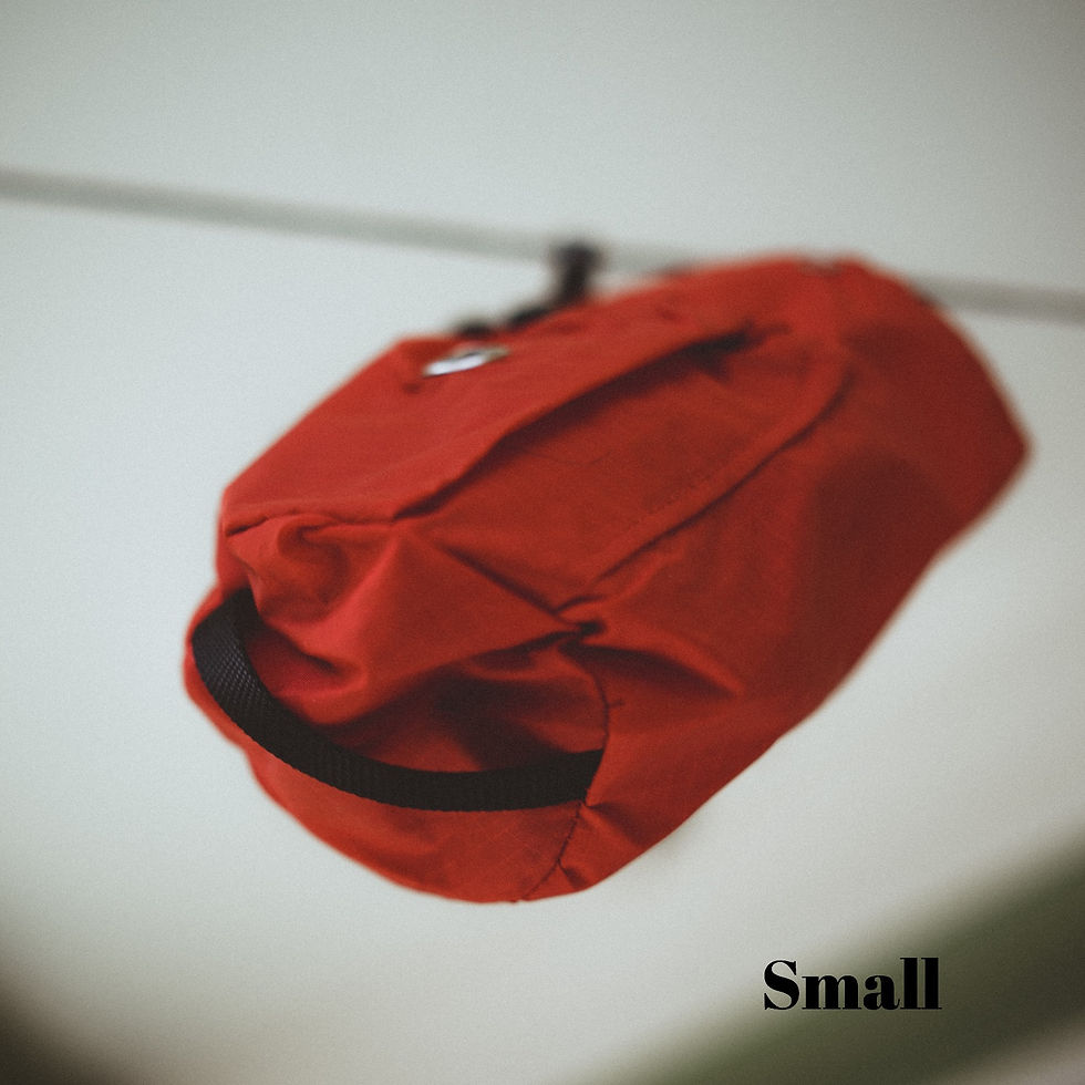 Thumbnail: Red Go Two Bag for Dog Waste Disposal