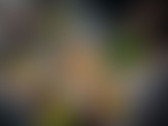 Warum Restaurants und Clubs hochwertigen Content in sozialen Medien benötigen