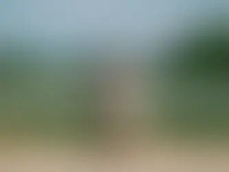 Soll man einen Hochzeitsfotografen für den ganzen Tag buchen?