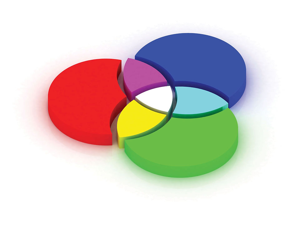 BIM MANAGEMENT