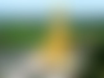 Bodhgaya Varanasi Buddhist tour package