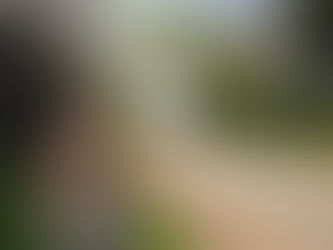 11. Ramsbury Little Legs - 7.4 miles