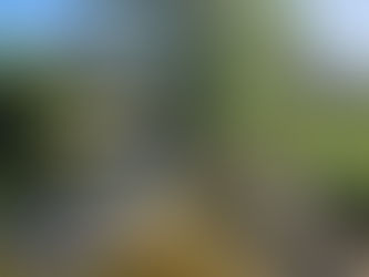 12. Benson Little Legs Flat - 10.8 miles