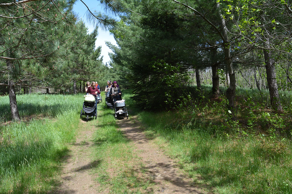 Journée de ressourcement pour femmes au post natal (1) en nature si la température est favorable
