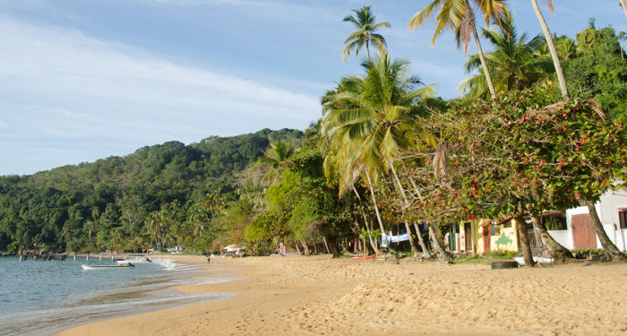 Praia de Palmas