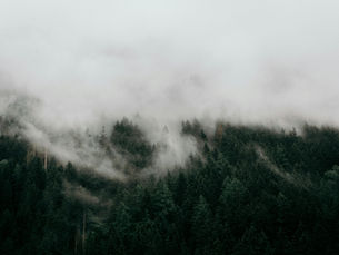 For the Days You Don't Feel Like Yourself