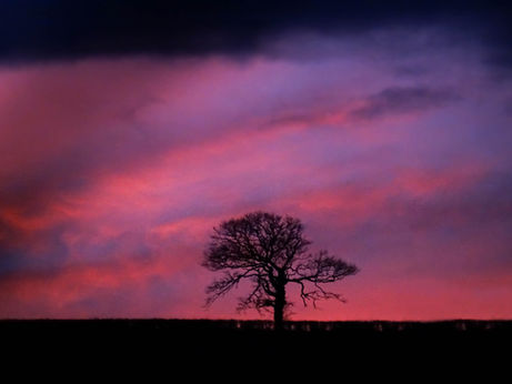 Valentine's Stay Availability at HOF HUT + Japanese Onsen