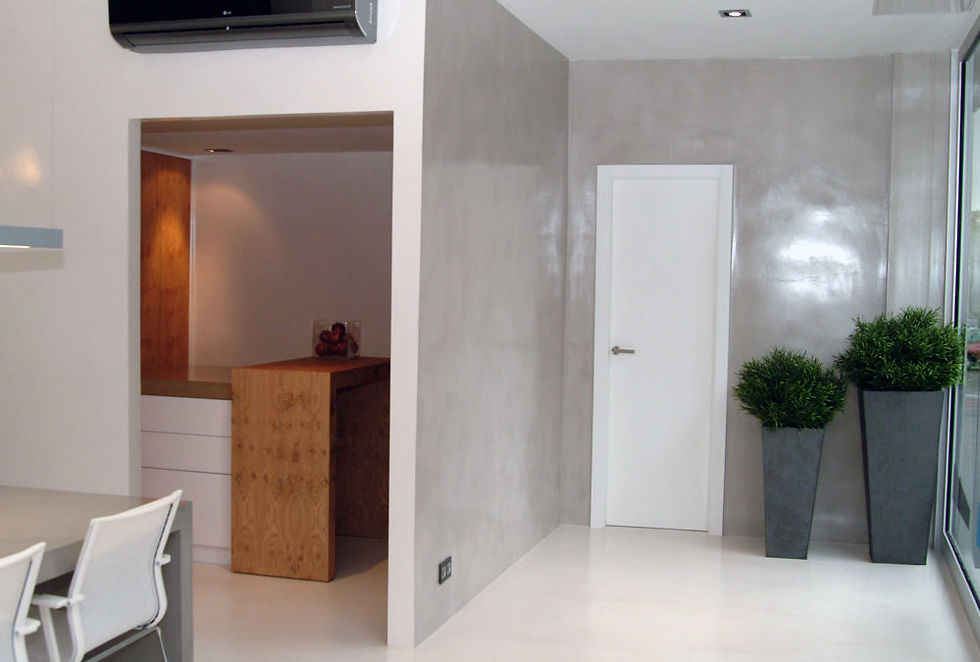 MISTER SERVICIO - PAREDES MICROCEMENTO