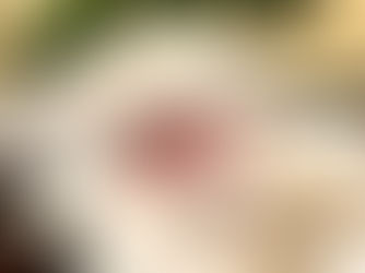 Pigmentos vegetais: extração e aplicação