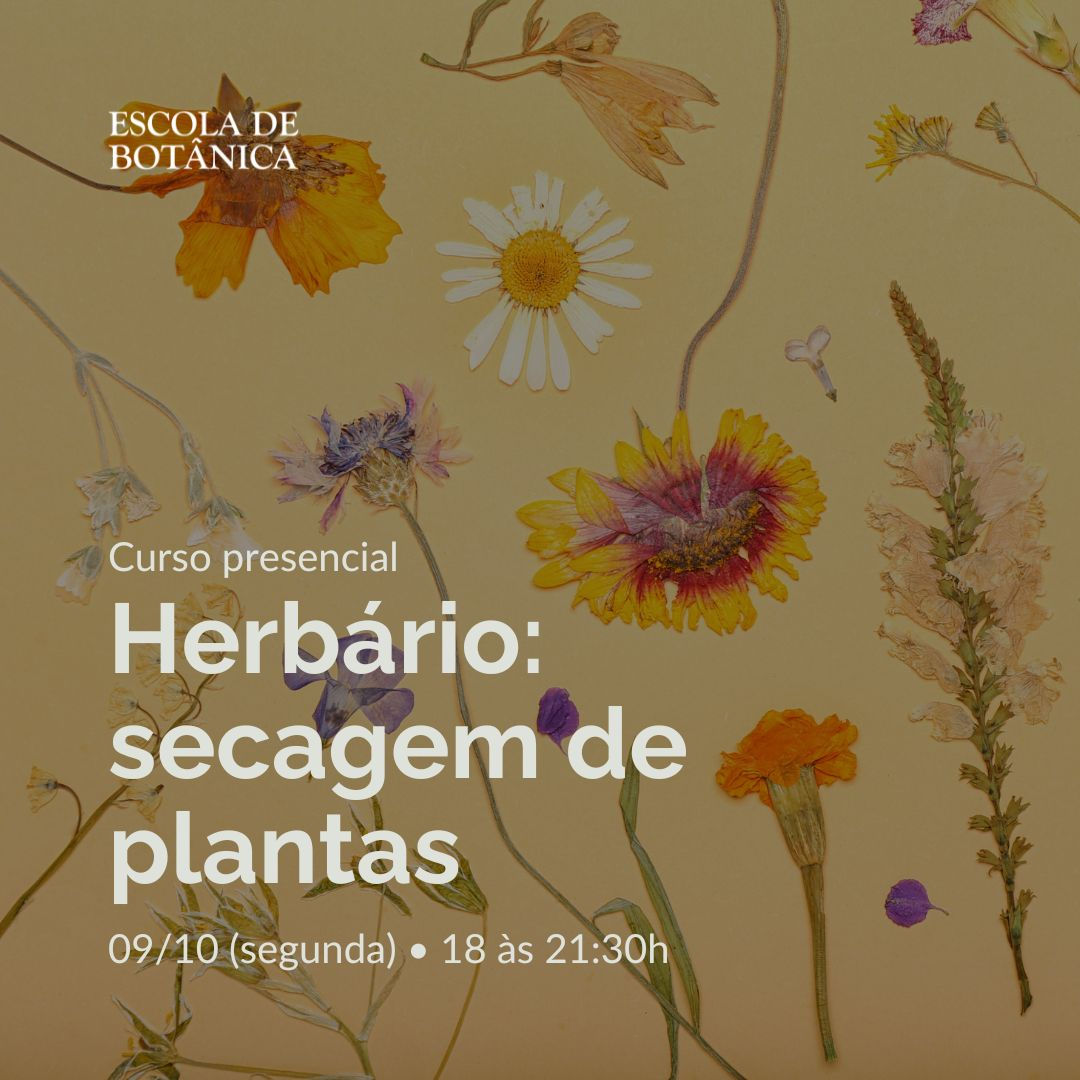 Curso Presencial: Herbário: secagem de plantas 09/10/2023