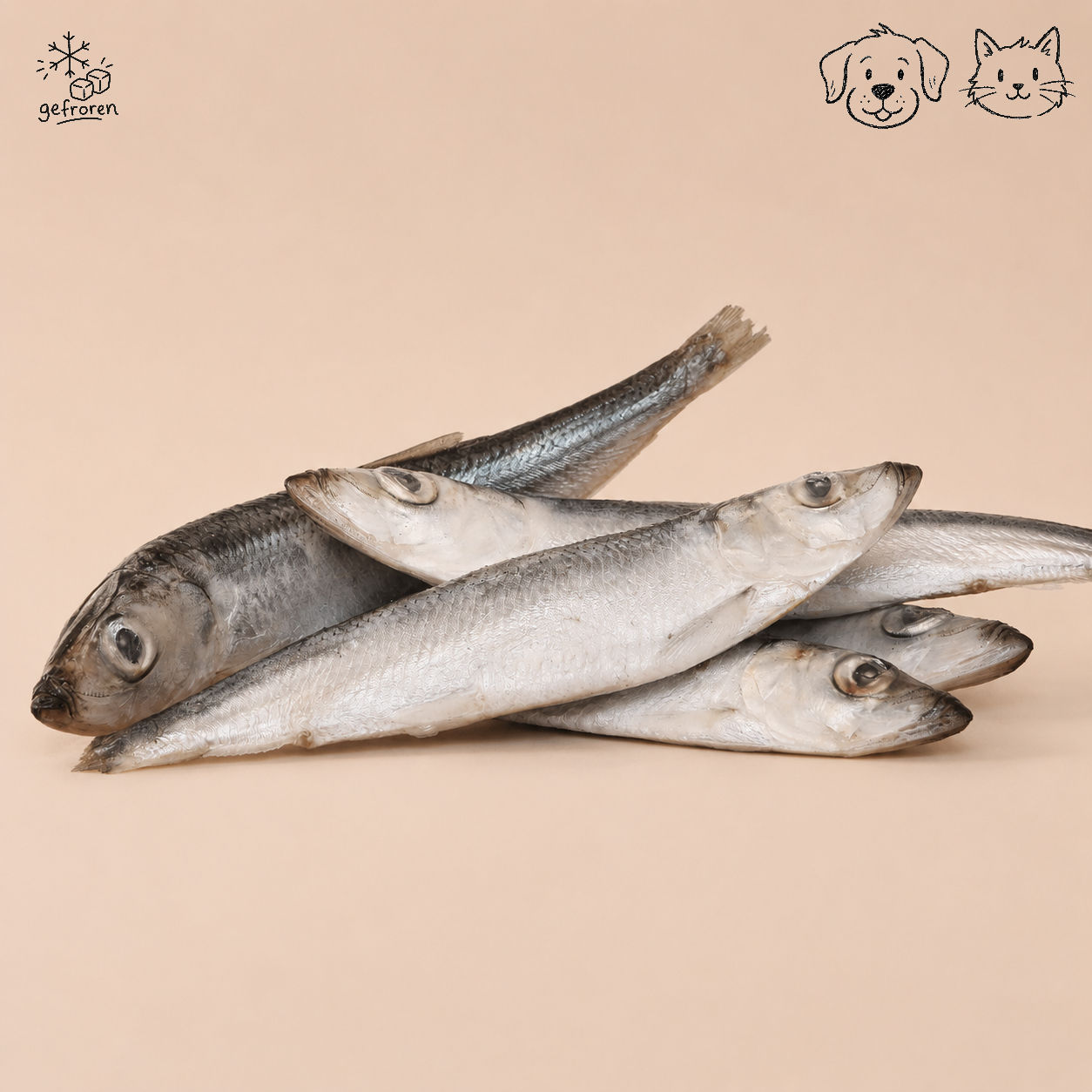Heringe · ganze Fische · 500 g · Hitzegrad®