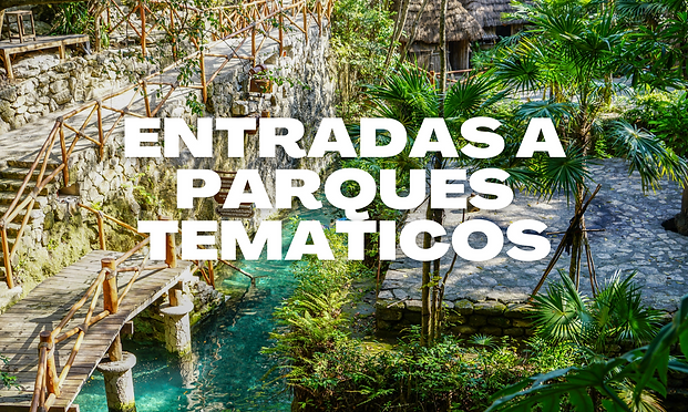 DESTINOS INTERNACIONALES (26).png