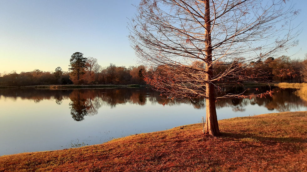 East Texas (December 2020)