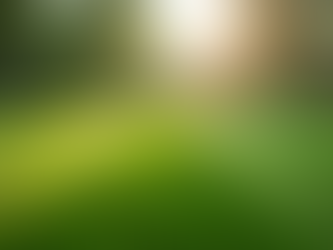 The Benefits of Regular Lawn Services for Your Home: Professional Lawn Maintenance Benefits