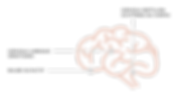 Sans titre (2).png