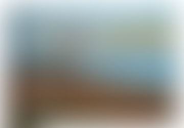 The Lonely Treet | Evanston Lake Front | Pastel on Paper | By Susan Cua