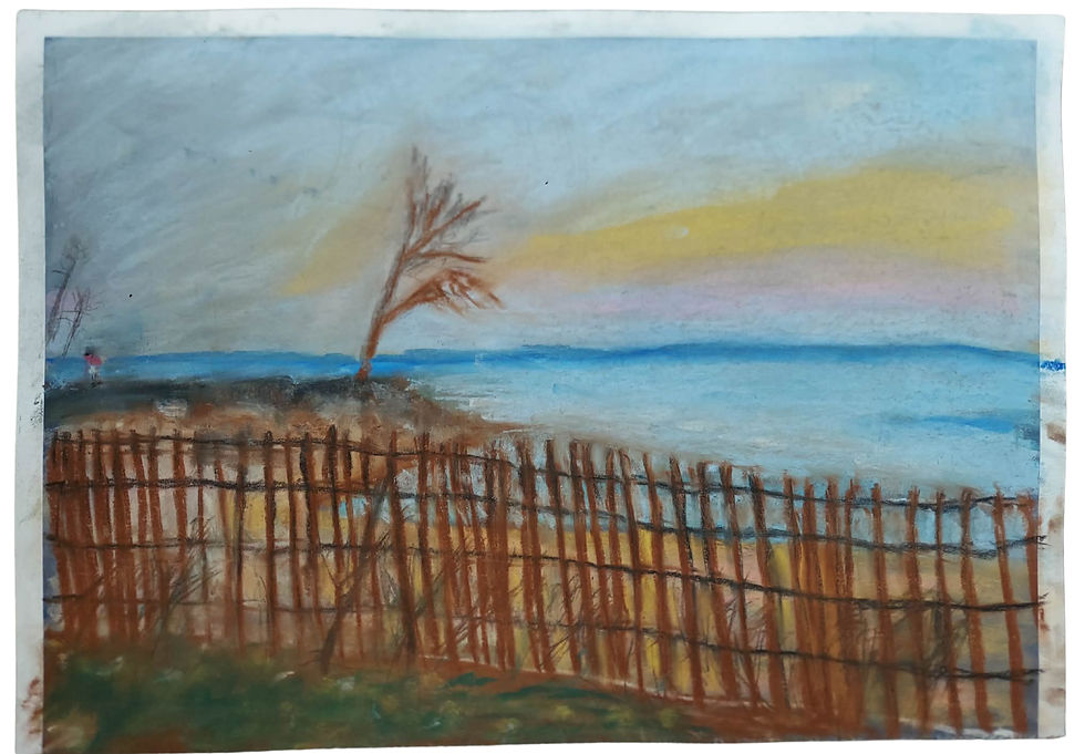 The Lonely Tree | Evanston Lake Front | Pastel on Paper by Susan Cua