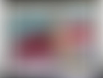 The Bull Fighter by Susan Cua