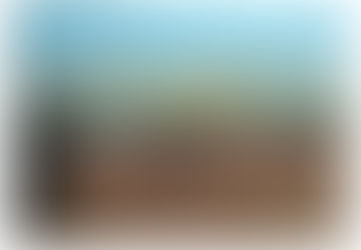 The Photographer | Evanston Lake Front | Pastel on Paper | By Susan Cua