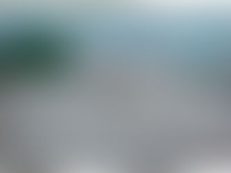 "Winter" | Lovelace Park Evanston Illinois | Pastel on Paper | By Susan Cua